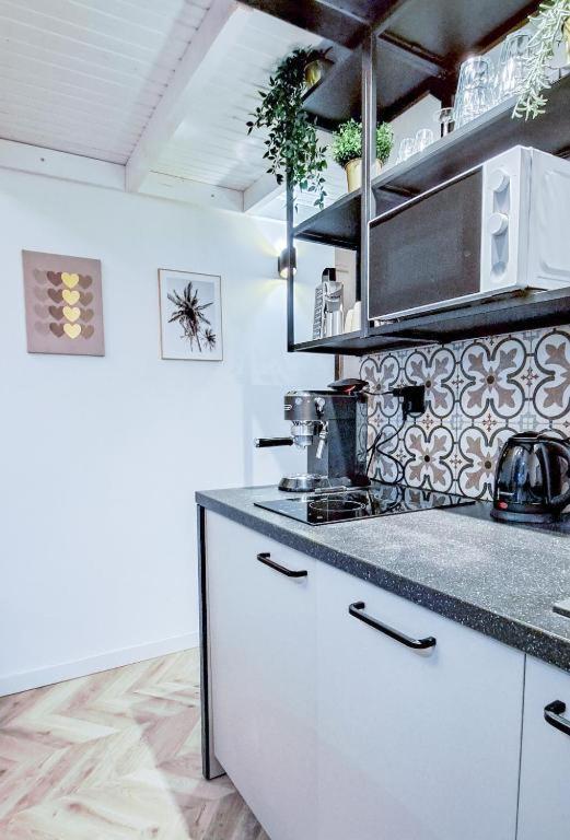 Lion Apartments - Premium Studio With Balcony Krakow Bagian luar foto